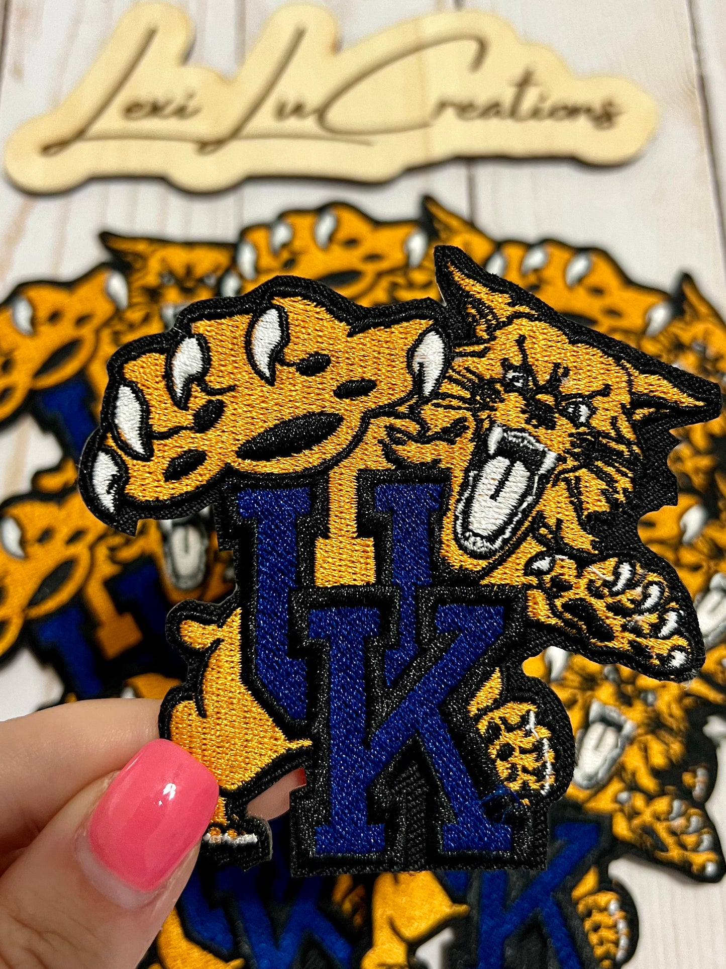 School Hat Patches